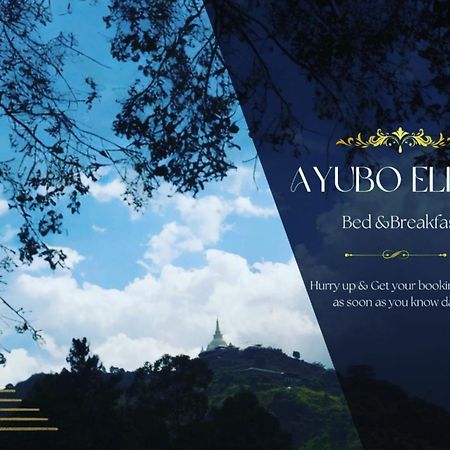 Ayubo Ella - Bed & Breakfast ภายนอก รูปภาพ