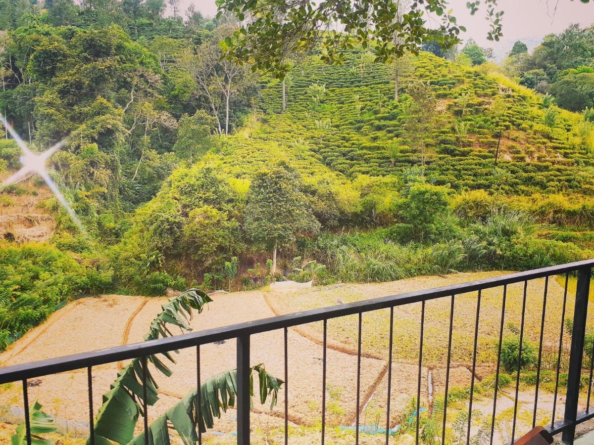 Ayubo Ella - Bed & Breakfast ภายนอก รูปภาพ