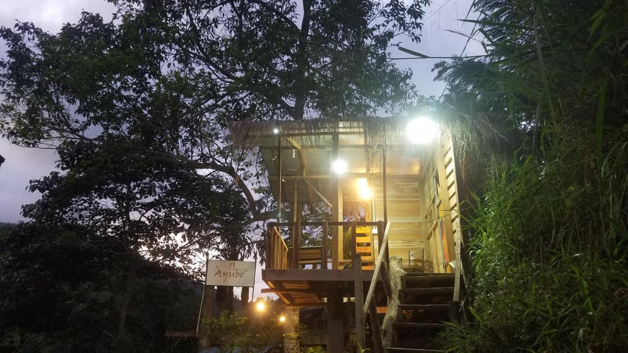 Ayubo Ella - Bed & Breakfast ภายนอก รูปภาพ