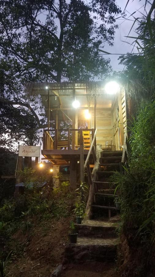 Ayubo Ella - Bed & Breakfast ภายนอก รูปภาพ