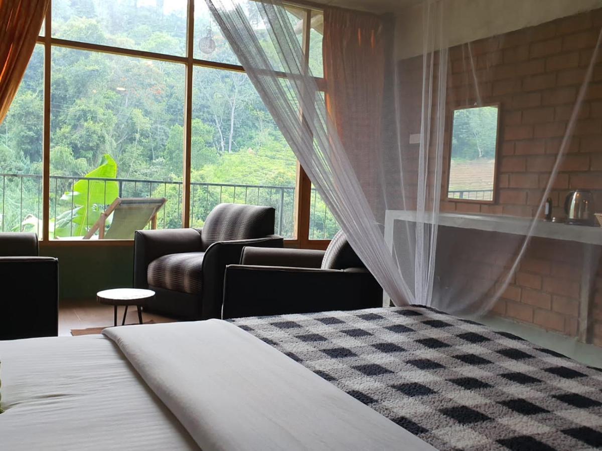 Ayubo Ella - Bed & Breakfast ภายนอก รูปภาพ